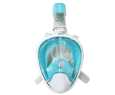 Snorkel Mask M6109