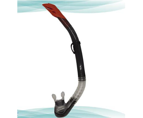 Snorkel SN30