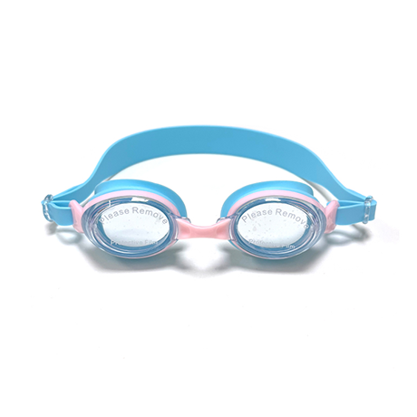 GOGGLE G2309